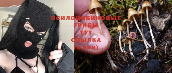 марихуана Медвежьегорск