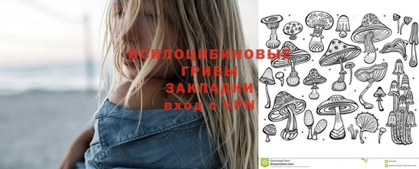 соль ск Мегион
