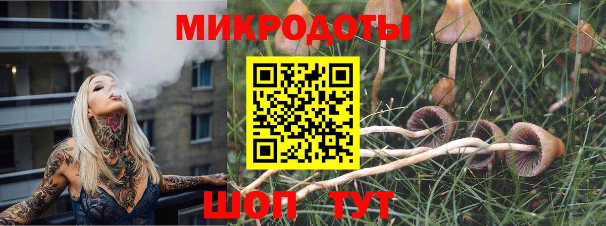 Галлюциногенные грибы MAGIC MUSHROOMS Чапаевск