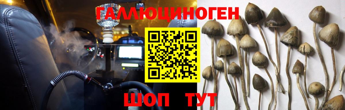 Чапаевск  Галлюциногенные грибы Cubensis  Вход с VPN 